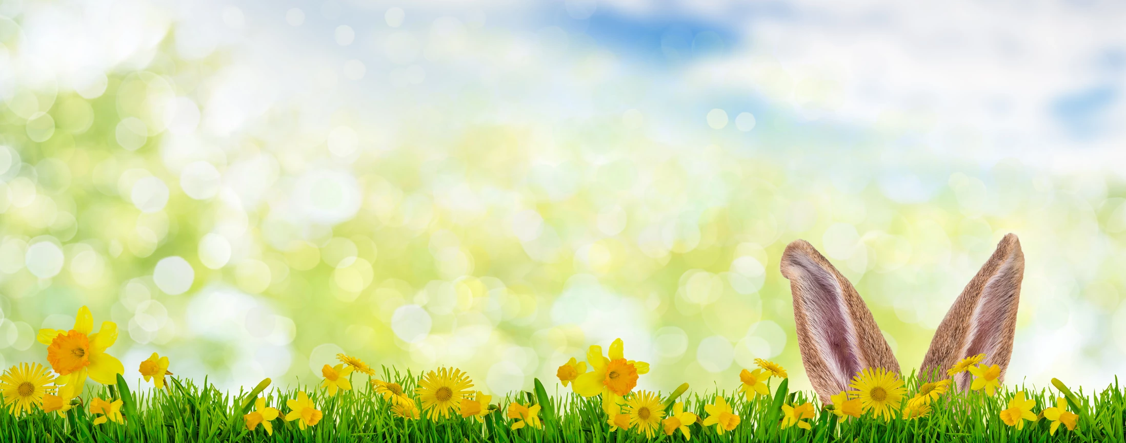 Fotolia 192655858 M drubig photo